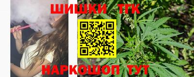 крисы Обь