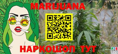 крисы Обь