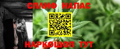 крисы Обь