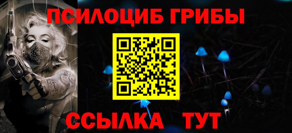 Сарапул  Галлюциногенные грибы MAGIC MUSHROOMS  что такое   Вход с VPN 